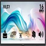 Msi Pro MP165 E6 Ultra Slim Light Portable MONITOR15.6 Fhd Ips 1080P Usb Type-c. Fixed Price $133.60.